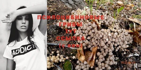a pvp Белокуриха